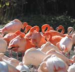 Entdeckungstour durch den Tierpark Hellabrunn