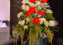 Bild zu Blumen Blüten-Stil Floristik