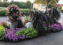 Bild zu Blumen & Gartengestaltung Förster