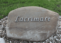 Bild zu Bestattungshaus Lacrimare