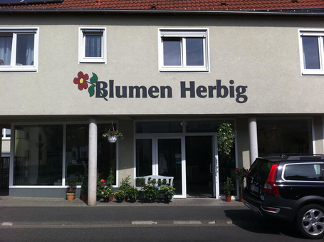 Blumen Herbig