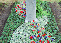 Bild zu Friedhofsgärtnerei Lehmann