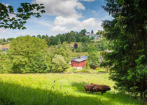 Bild zu Gasthaus / Pension Stollmühle, Fröhlich