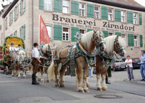 Bild zu Stadt Zirndorf K.d.ö.R.