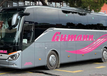 Bild zu Gumann Georg GmbH, Reisedienst