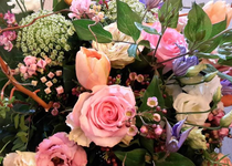 Bild zu Blumen Oppelt Claudia