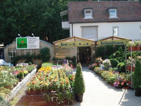 Blumen - Gärtnerei Heim