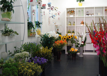 Bild zu Blumen - Gärtnerei Heim
