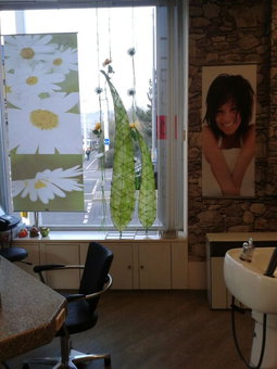 Cut & Curl Friseur