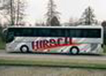 Bild zu Omnibus Hirsch