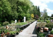 Bild zu Bittner GartenBaumschulen