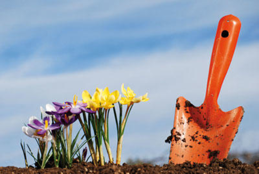 Gartenbau Starke