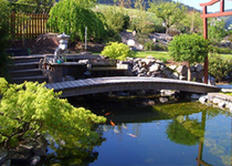 Bild zu Sauter Gartenbau