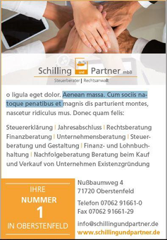 Schilling und Partner mbB - Steuerberater, Rechtsanwalt