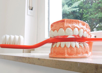 Bild zu Zahnarztpraxis Dr. Stephanie Franzen