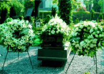 Bild zu Beerdigungen Schlebusch