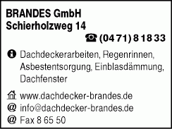 Brandes GmbH, Heinrich