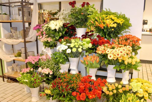 Blumen Aymans - KORNBLUME - Landhandel und Floristik