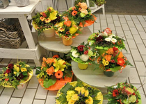 Bild zu Blumen Aymans - KORNBLUME - Landhandel und Floristik