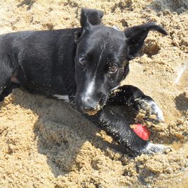 Erholung am Strand