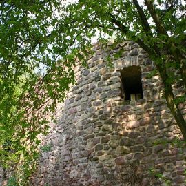 Burg Hayn in Dreieich