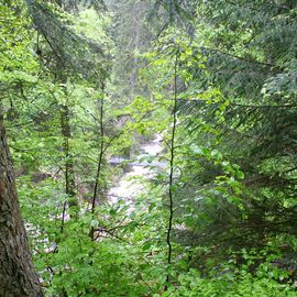 Triberger Wasserfälle in Triberg im Schwarzwald