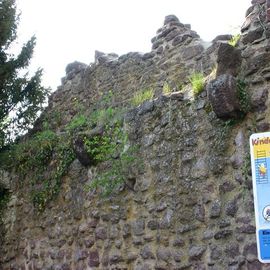 Burg Hayn in Dreieich