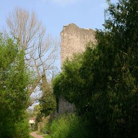 Burg Hayn in Dreieich