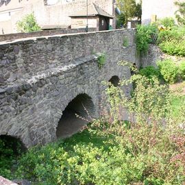 Burg Hayn in Dreieich