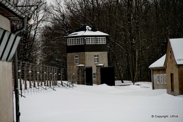 Bild 104 Gedenkstätte Buchenwald in Weimar