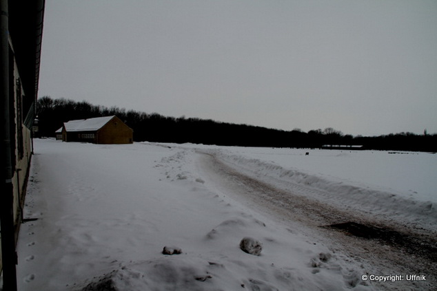 Bild 105 Gedenkstätte Buchenwald in Weimar