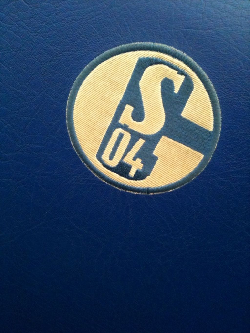 Nutzerfoto 33 Fußballclub Gelsenkirchen-Schalke 04 e.V.