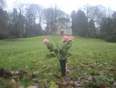 Nutzerbilder Hamburger Friedhöfe -AöR-, Friedhof Ohlsdorf