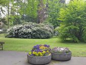 Nutzerbilder Friedhof Hauptfriedhof Altona