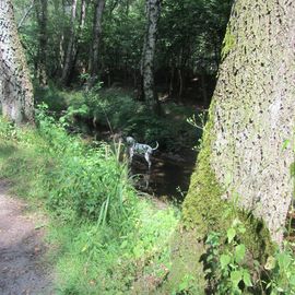 Naturschutzgebiet Raakmoor in Hamburg