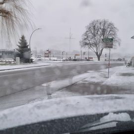 Blick vom Parkplatz auf die Elbe 