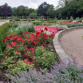 Rosengarten im Stadtpark in Hamburg