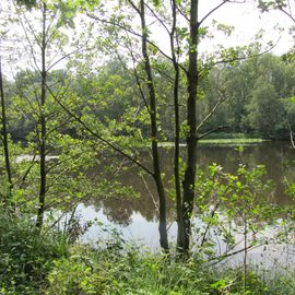 Naturschutzgebiet Raakmoor in Hamburg