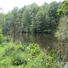 Naturschutzgebiet Raakmoor in Hamburg