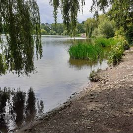 Stadtparksee mit Badestelle