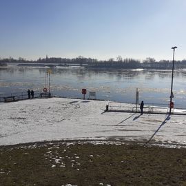 Leichter Eisgang auf der Elbe