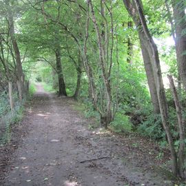 Naturschutzgebiet Raakmoor in Hamburg