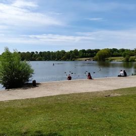 Wasserfl&auml;che f&uuml;r die Enten