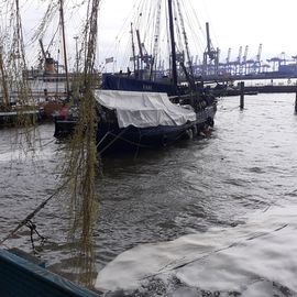 Museumshafen Oevelgönne e.V. historische Berufsfahrzeuge in Hamburg