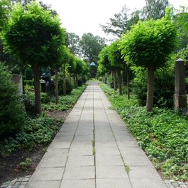 Evangelisch-lutherische Simeonkirchengemeinde Bramfeld-Friedhofsverwaltung in Hamburg