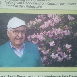 Rhododendron Pfad im Stadtpark in Hamburg