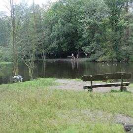 Naturschutzgebiet Raakmoor in Hamburg