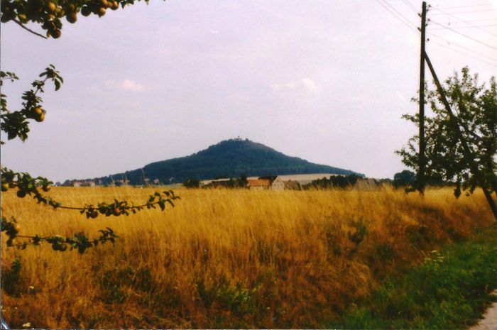 Die Landeskrone mit der kleinen Burg auf dem Gipfel