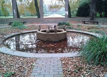 Bild zu Pinguinbrunnen im Stadtpark