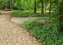 Bild zu Labyrinth im Stadtpark